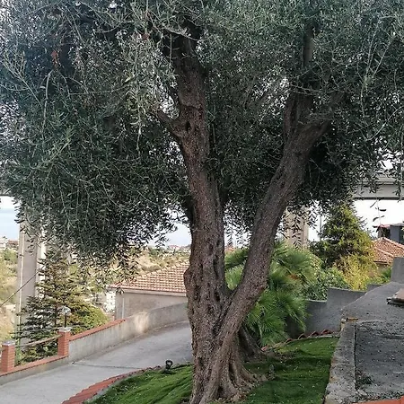 La Casa Di Trilly Pensión