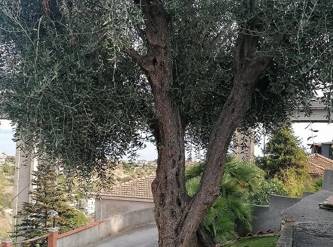 La Casa Di Trilly Pensjonat